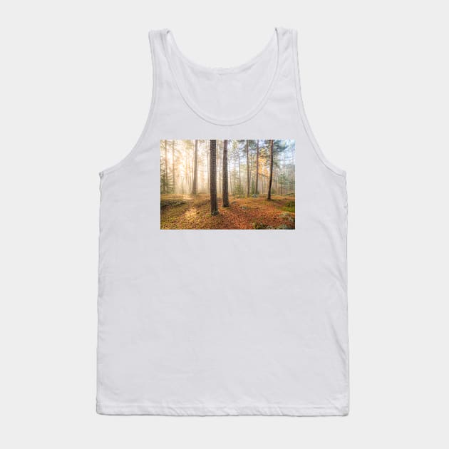 Foggy morning sun light forest Tank Top by Juhku